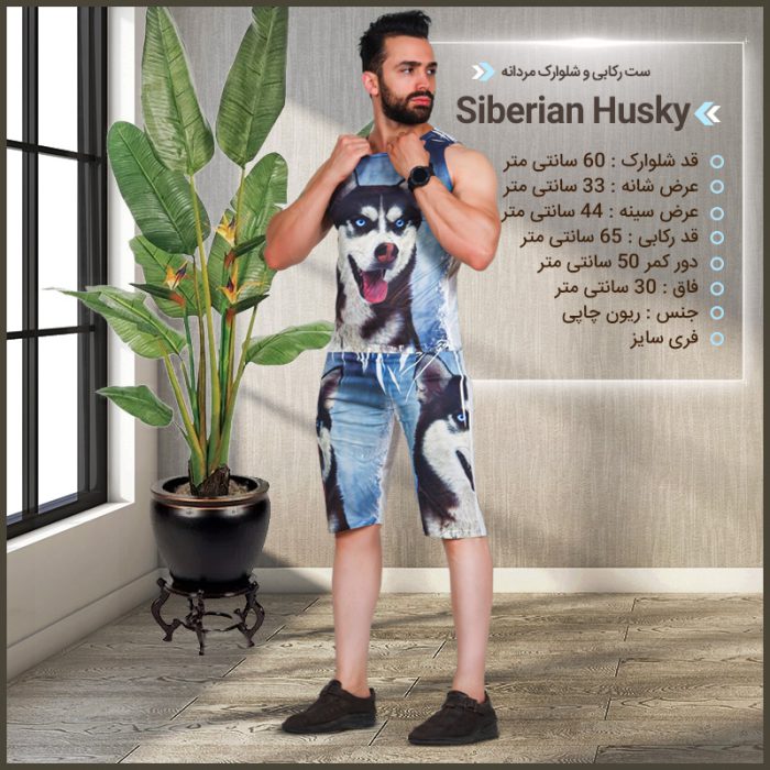 ست رکابی شلوارک پسرانه طرح گرگ مدل آبی جدید