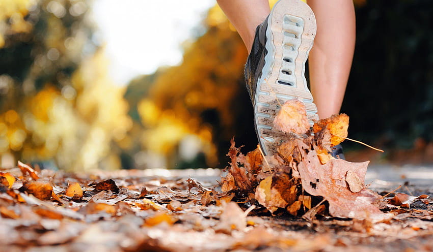 معرفی چند استایل کفش برای ورزش کردن و دویدن